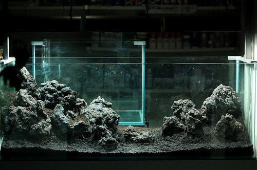 １２００水槽レイアウト開始 １ヶ月くらい Azulブログ