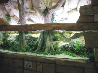 Artificial Coral Reef Aquarium Decoration Marine Fish Aquarium 