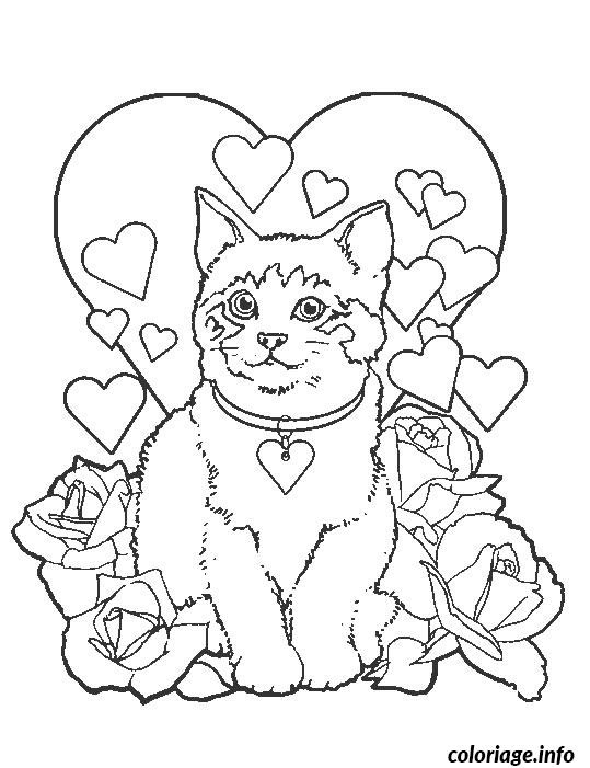 Coloriage Chaton Siamois Jecoloriecom