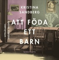 Att föda ett barn (mp3-bok)