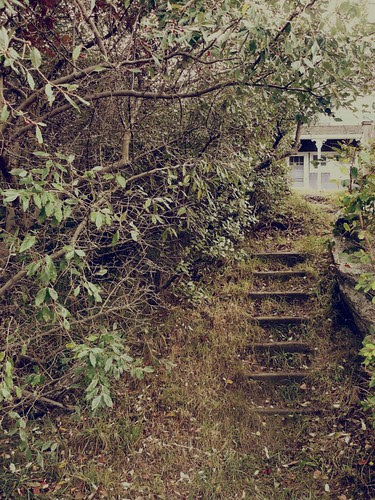 Steps