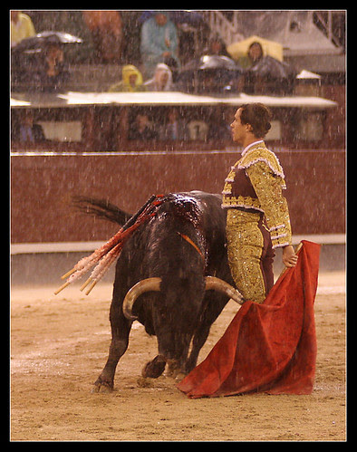 Juan Bautista bajo el diluvio