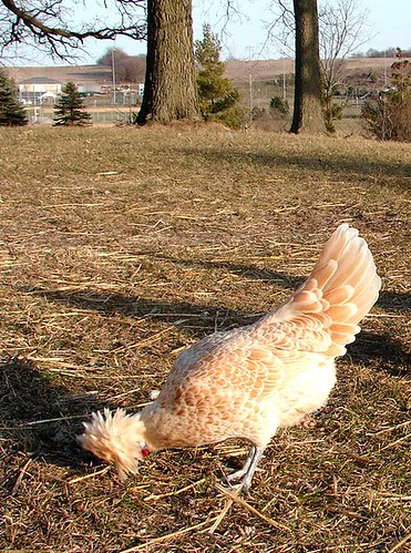 Jan 06 564