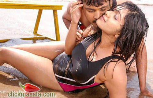 Tamil Telugu Actress Ankitha