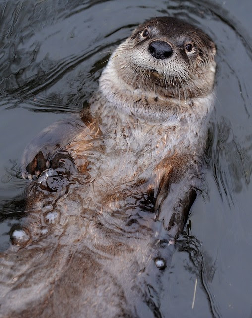 Un bañito relajante