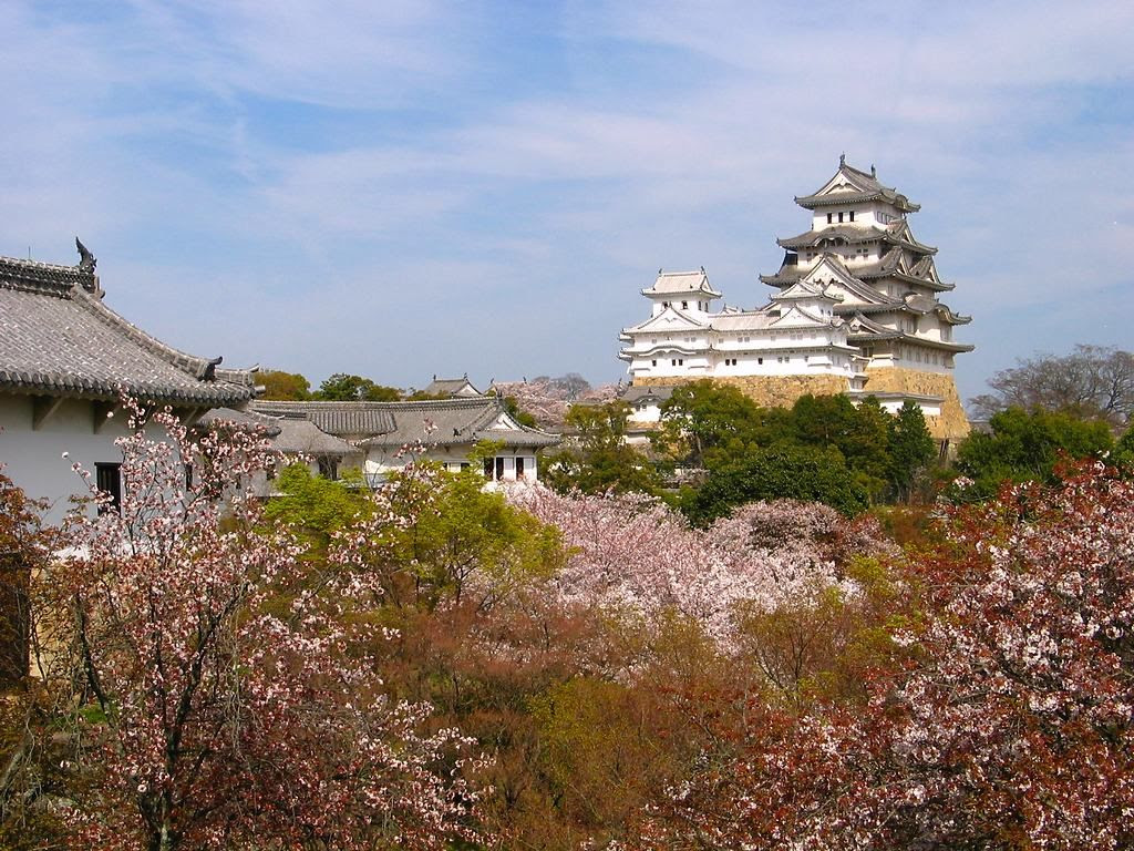 姫路城の桜 姫路城公園の花見 壁紙写真集 無料写真素材