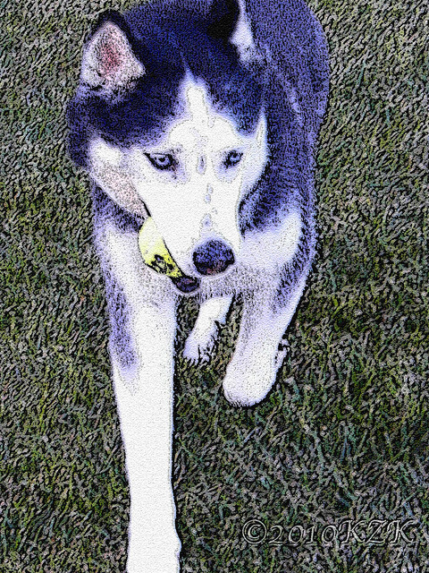 DSCN6134fX Dave