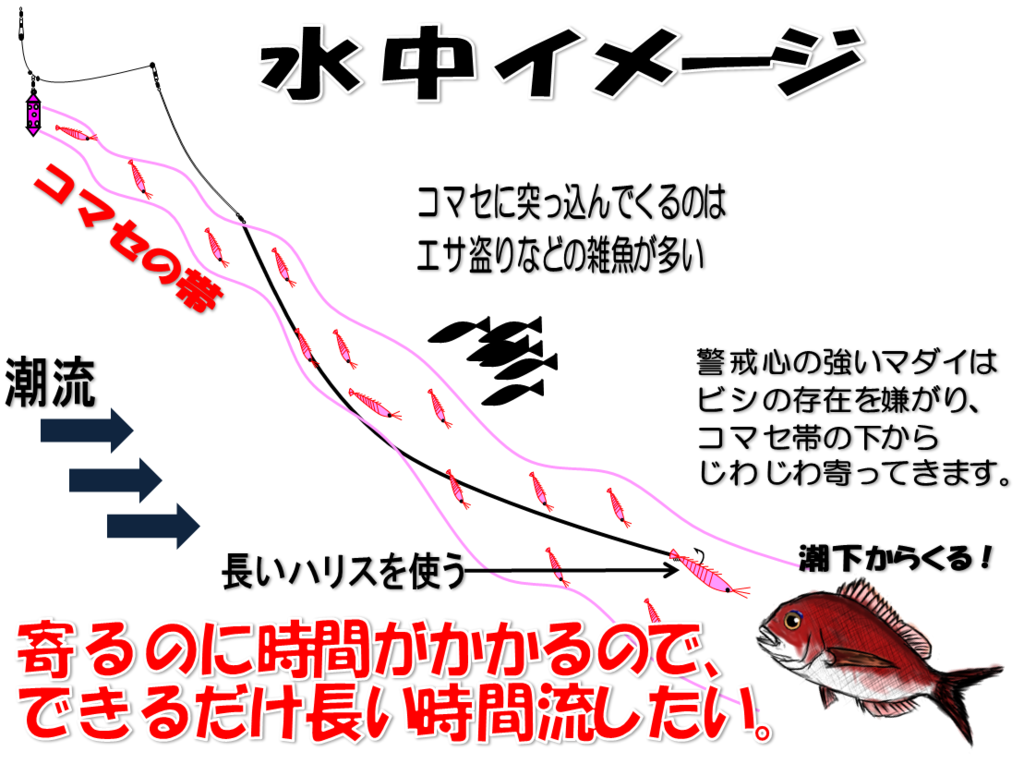 沼津周辺カゴ釣りマダイ釣行 イシグロ沼津店スタッフブログ 沼グロ