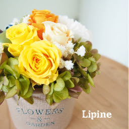 Lipine S Gallery 作品一覧 Minne 日本最大級のハンドメイド 手作り通販サイト