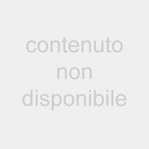 Poca chiarezza e garanzia limitata l'Antitrust multa la Apple