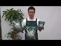 観葉植物 土 室内 345563-室内 観葉植物 土 小さい虫