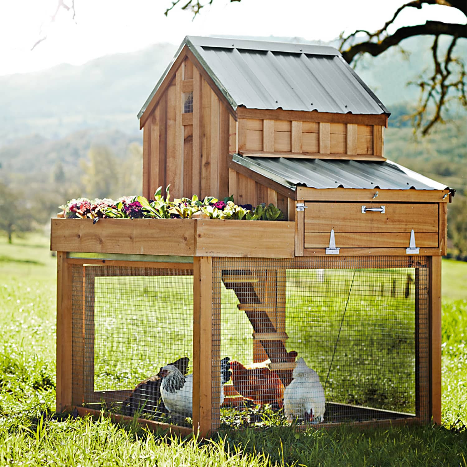 Cedar Chicken Coop and Run with Garden Planter - The Green Head