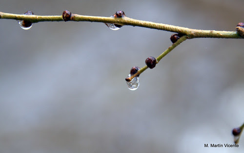 día de lluvia