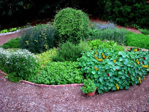 Herb Garden Design Ideas Photograph | Love Apple Farms: The