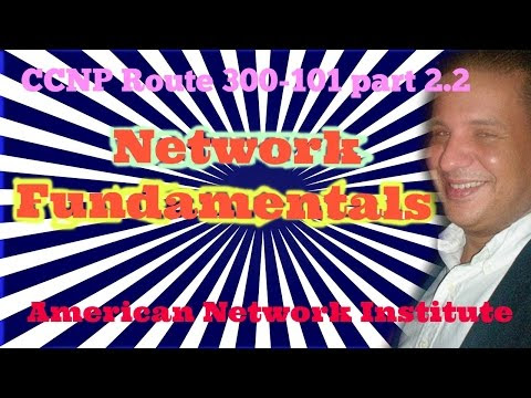 Network Fundamentals:Network traffic types and network architecture