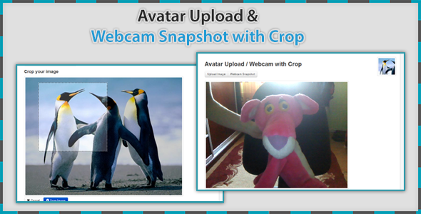 Avatar Upload & Webcam with Crop (Images and Media)