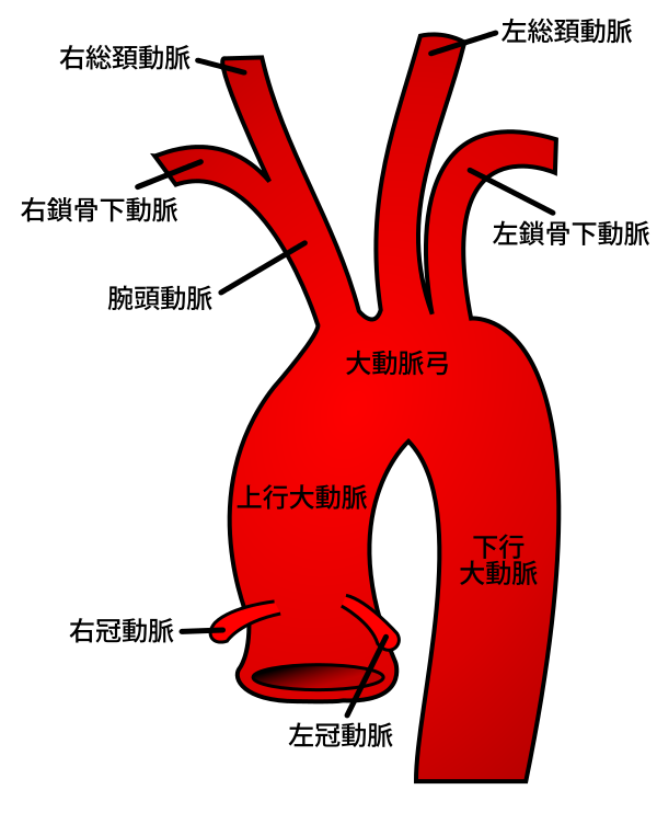 Still おっさん看護学生