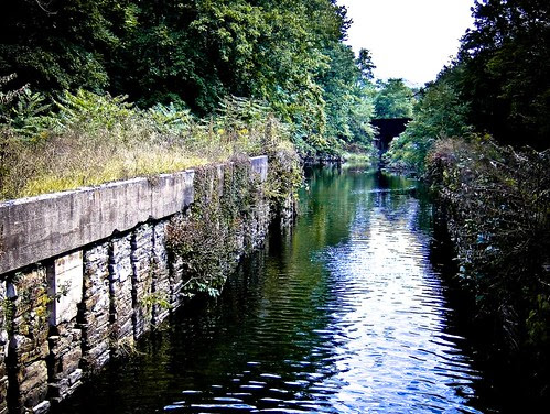 The Canal
