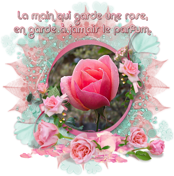 Carte Avec Citation Rose Poeme Mcreations