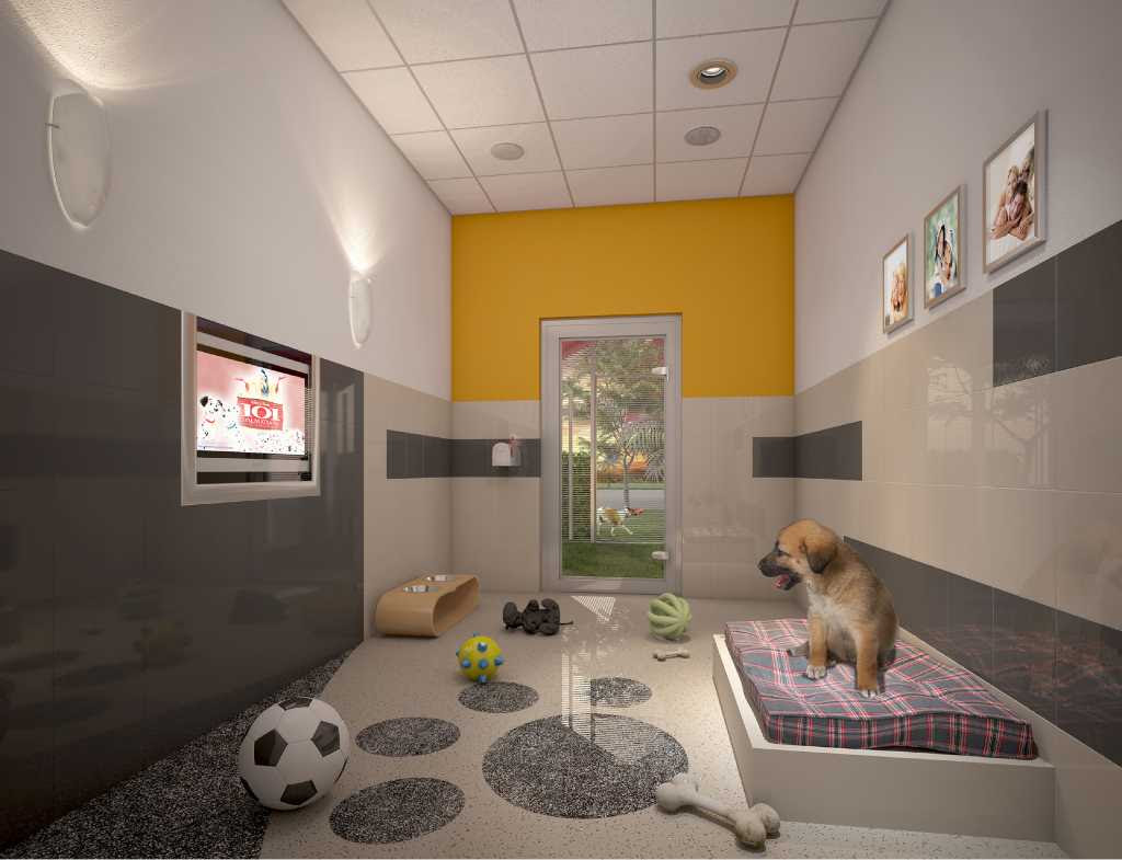 Furry friends have a home at Disney World - StamfordAdvocate