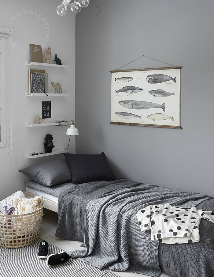 87 iGrayi Boys Room Ideas Decoholic