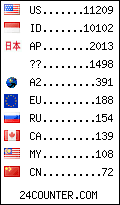 visitors by country counter