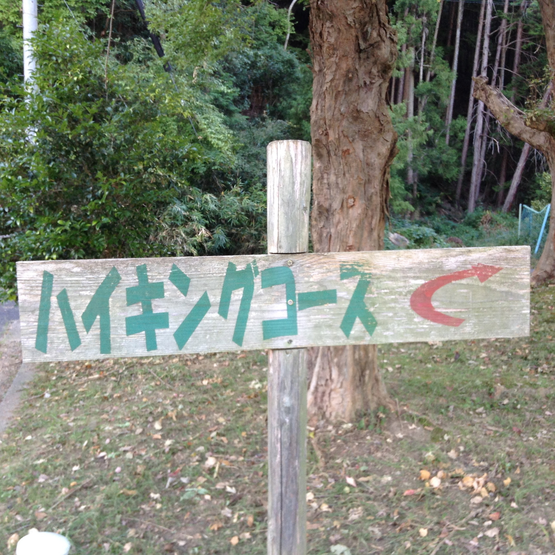 信貴山道 一日一句 奈良暮らしから