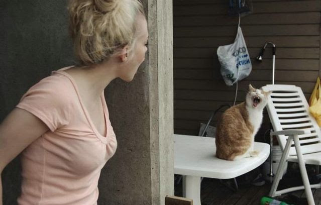 Daily picdump (86 pics)