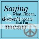 saying what I mean