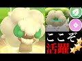 [最も人気のある！] ポケモン エルフーン 162011