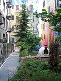 Tenderloin National Forest