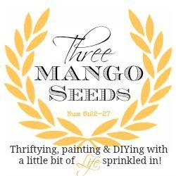 Three Mango Seeds