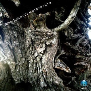 Temblorosura (by Fabián Racca) (label: Modisti)