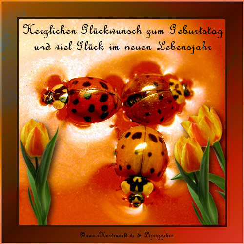 alles gute zum geburtstag kind