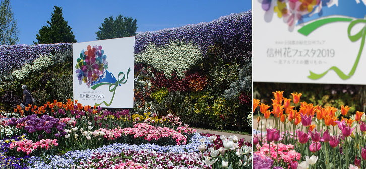 19 5 16 今日は 急に信州花フェスタ16の見学が決定して 朝10 00に自宅を出発 第36 回全国都市緑化信州フェア 信州花フェスタ19 北アルプスの贈りもの 平成31年 19年 4月25日 木曜日 6月16日 日曜日 53日間 メイン会場 長野県