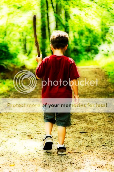 Photo Sharing and Video Hosting at Photobucket