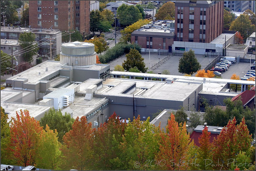 Frye Museum Campus in Autumn