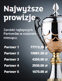 Praca w programach partnerskich