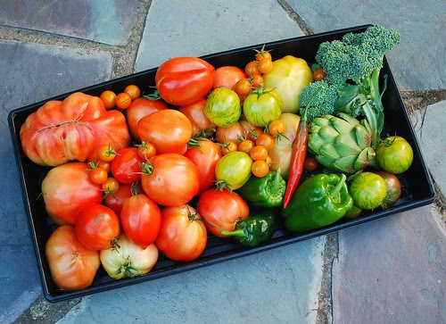 Early October Harvest