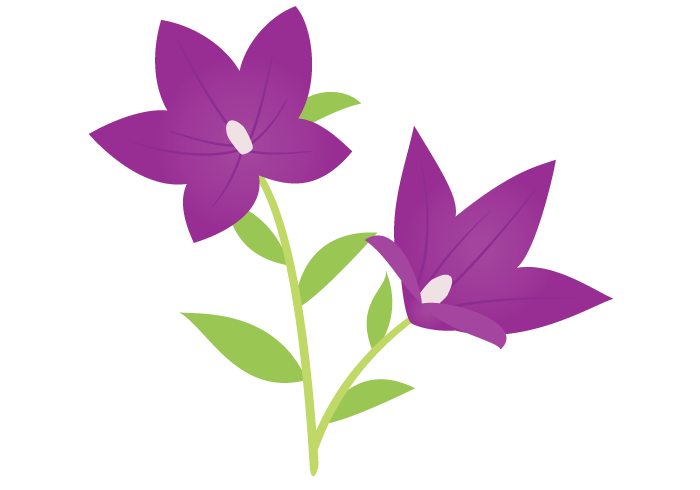 キキョウ 桔梗 の花 高品質な無料のフリーイラスト素材集