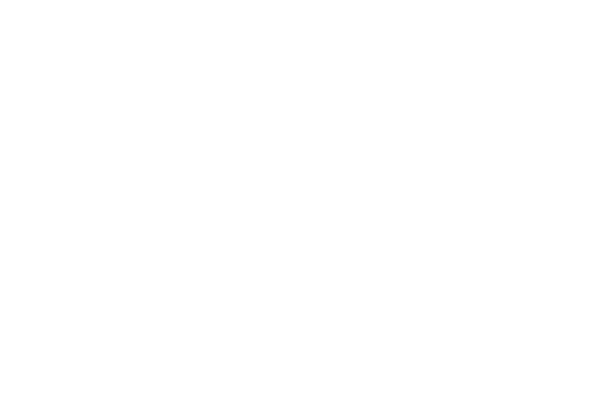 花 レース素材専門サイト Da Lace ダ レース