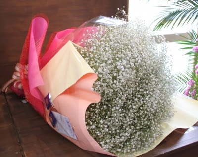 超特大のお誕生祝いのかすみ草 いわき市 小名浜 花国湘南台店 お花の日記