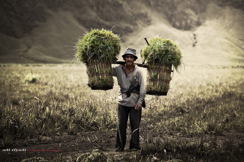 500px favs, rg443