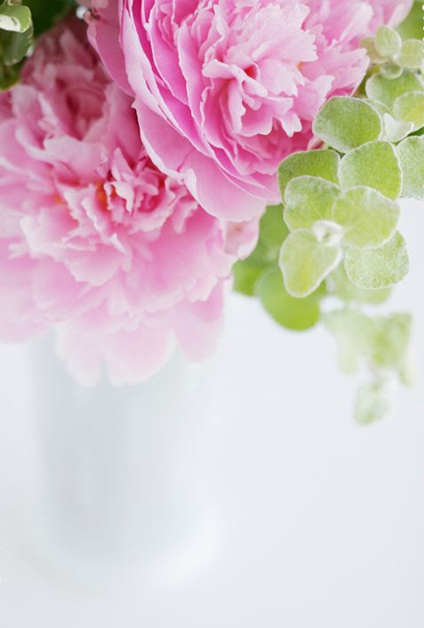Pink and green