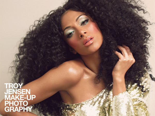natural african american hairstyles. Natural Hairstyles – 2010 Edition