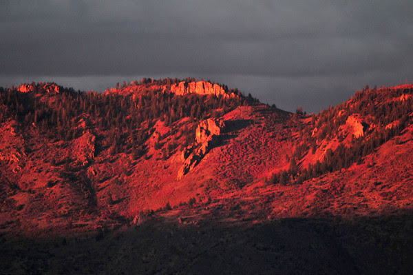 crimson Cimarron
