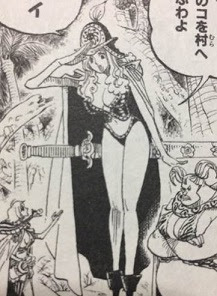 ワンピースの組織 九蛇海賊団 ワンピースデータベース