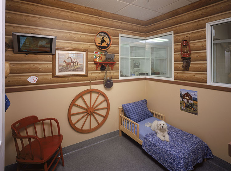 Yorba Regional Animal Hospital Yorba Linda