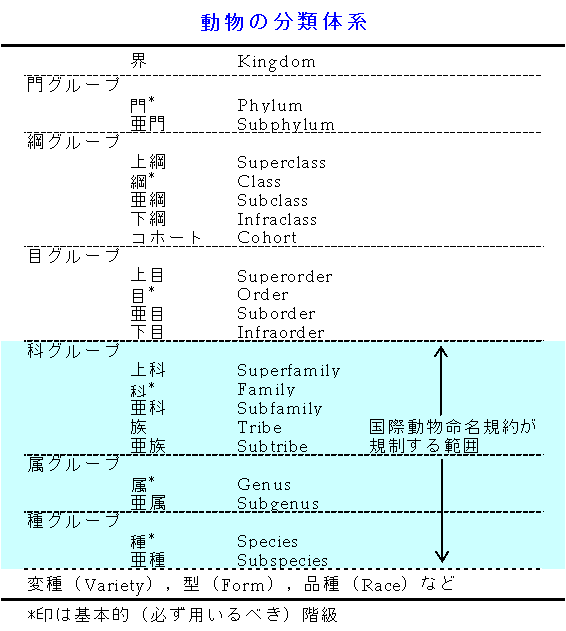 生物の名前と分類