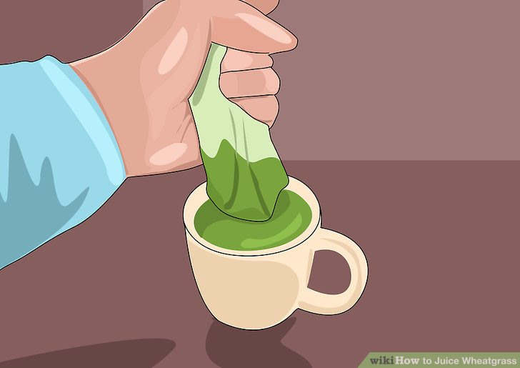Juice Wheatgrass Step 9.jpg
